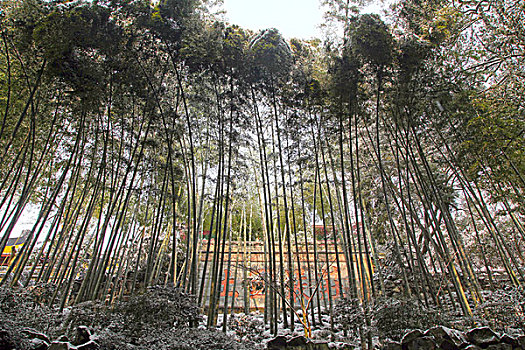 杭州,西湖,建筑,灵隐寺,寺庙,雪,宗教,佛教,僧人,塑像,信仰,文化,旅游,飞来峰