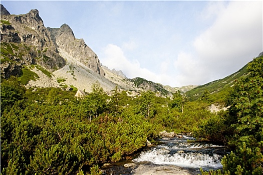 寒冷,山谷,高塔特拉,斯洛伐克