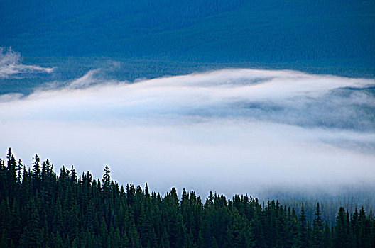 雾,上方,湖,路易斯湖,班芙国家公园,艾伯塔省,加拿大