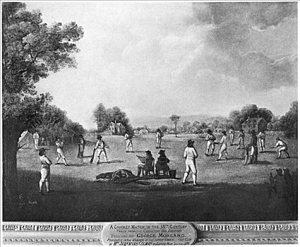 板球,比赛,18世纪,艺术家