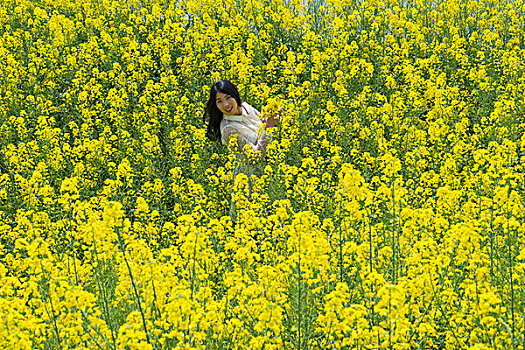 油菜花田中的美女