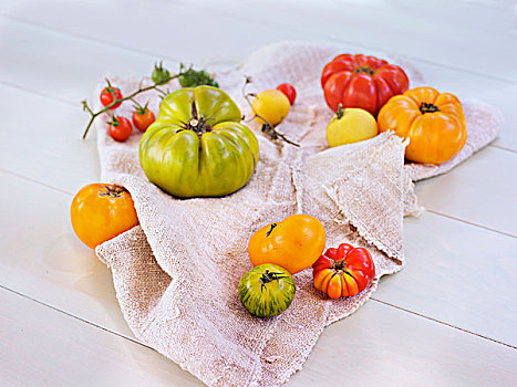 新鲜,成熟,纯种西红柿,米色,布,户外,加拿大