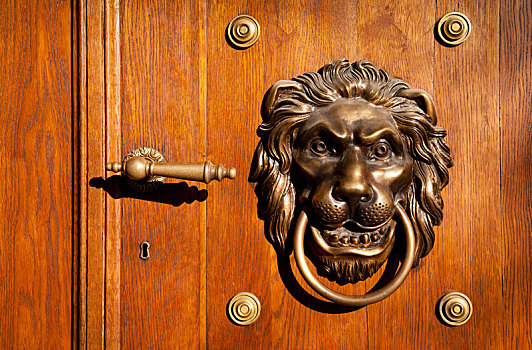 狮子,敲门,门饰,门把手,建筑,装饰,奢华,黄铜,鲜明,褐色,木质,门,无人