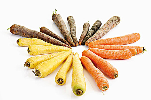 胡萝卜,品种,黄色,红色,紫色
