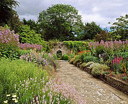 一对,边界,花园,蒂帕雷里,爱尔兰