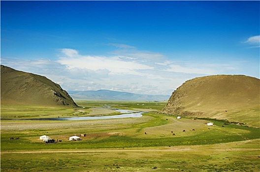 蒙古人,草原