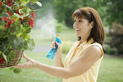 女人,浇水,植物