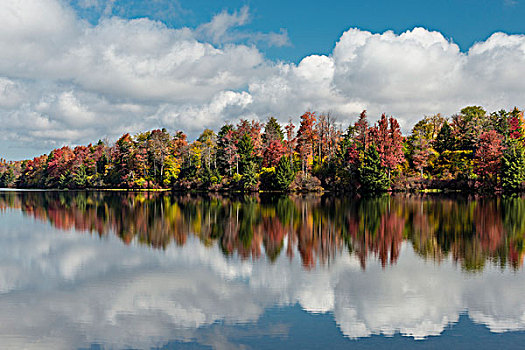 美国,宾夕法尼亚,州立公园,云,彩色,秋叶,反射,湖