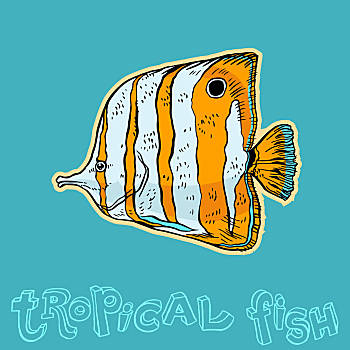 鱼图片_鱼图片大全_鱼图片素材