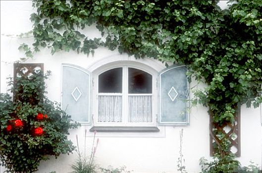 窗户,蔷薇,巴伐利亚,德国