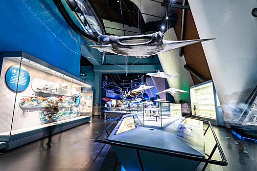 国家海洋博物馆内展示的生物标本
