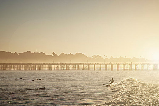 冲浪,海洋,加利福尼亚