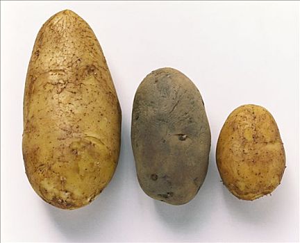 三个,土豆,并排