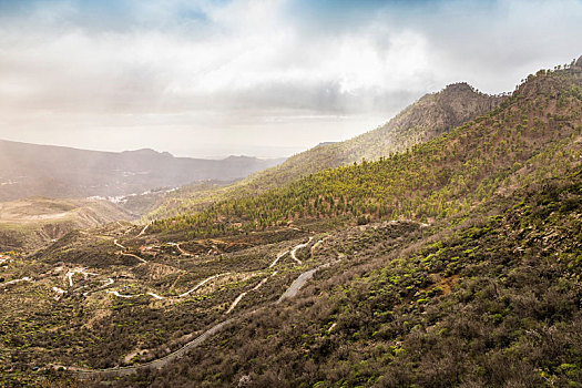 山地,风景,乡村道路,俯拍,加纳利群岛,西班牙