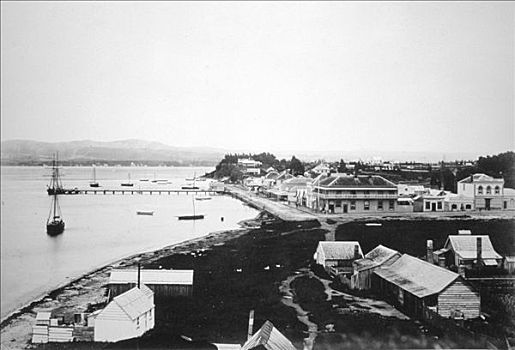湾,许多,北岛,新西兰,1875年,艺术家,未知