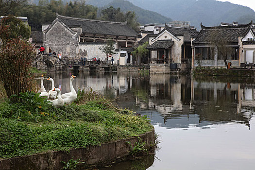 呈坎,安徽,古村落,旅游,景点,水乡,住宅,房子,小桥,拱桥,春天,居民,原生态