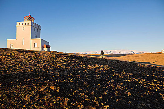 灯塔,戴尔赫拉伊,自然保护区,半岛,南方,海岸,冰岛