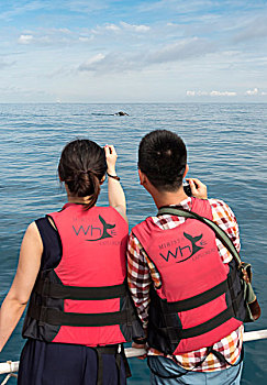 观鲸,斯里兰卡,亚洲
