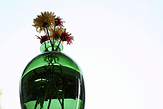 绿色,花瓶