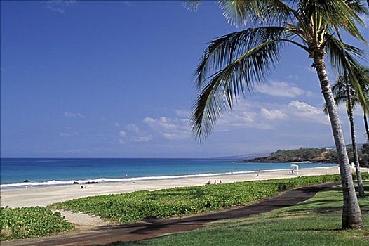 夏威夷,夏威夷大岛,柯哈拉海岸,哈普纳,海滩,州立公园,白沙滩,棕榈树,人行道