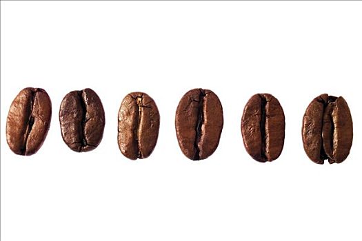 咖啡豆,排列