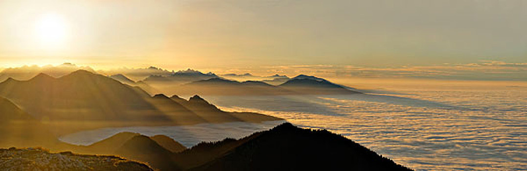 日落,顶峰,高山,山麓,雾,靠近,加米施帕藤基兴,巴伐利亚,德国