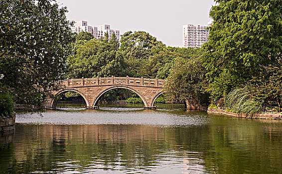 上海鲁迅公园景观