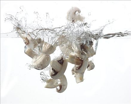 蘑菇,落下,水