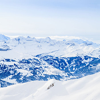 冬天,积雪,山峰,欧洲,阿尔卑斯山,山景