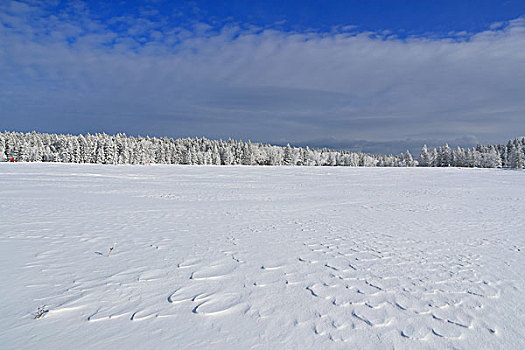 吉林省老里克湖户外雪景