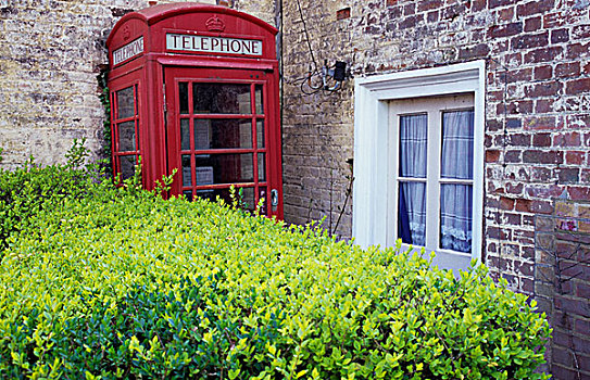 英国,英格兰,诺福克,旧式,红色,电话,盒子,角,院子,老,砖,建筑,门,水腊树,树篱