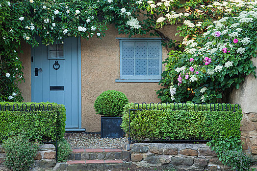 屋舍,入口,窗户,框架,攀登,白色,粉色,玫瑰,八仙花属,北安普敦郡