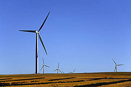 风电场,风,涡轮,西澳大利亚州,澳大利亚