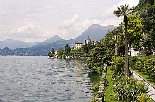 风景,湖,湖岸,花园,别墅,瓦伦纳,科摩湖,伦巴第,意大利,欧洲