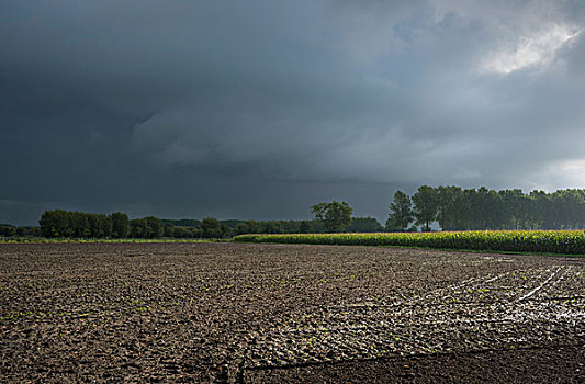 雨,上方,佛兰德斯,地点,西佛兰德省,比利时