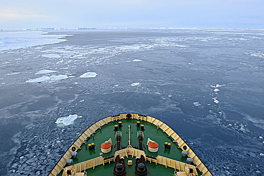 船首,破冰船,游船,途中,浮冰,雪丘岛,威德尔海,南极半岛,南极