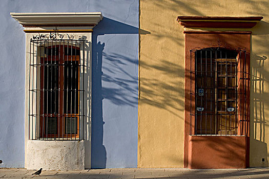 墨西哥,瓦哈卡,朝日,窗户,西班牙殖民地,建筑,历史,中心