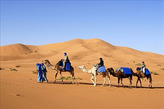 四个,骆驼,骑手,巨大,沙丘,却比沙丘,梅如卡,摩洛哥