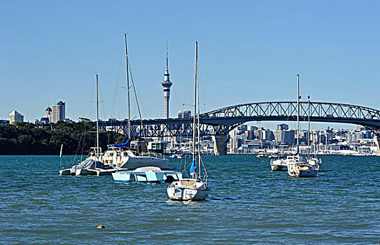 风景,港口,桥,天际线,摩天塔,奥克兰,新西兰
