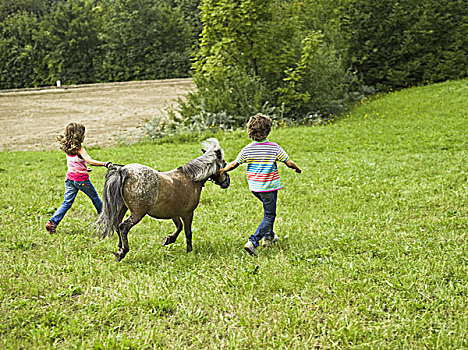 孩子,两个,小马,草地,跑