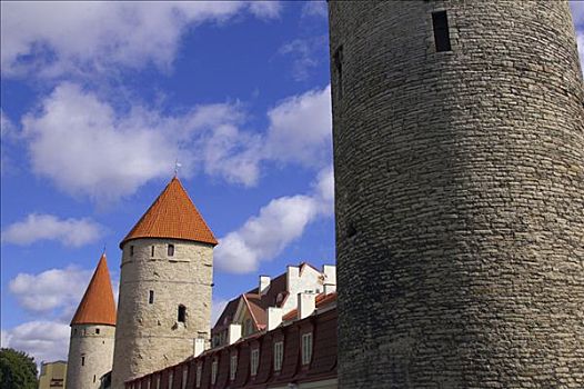 城墙,看,塔,塔林,爱沙尼亚,欧洲