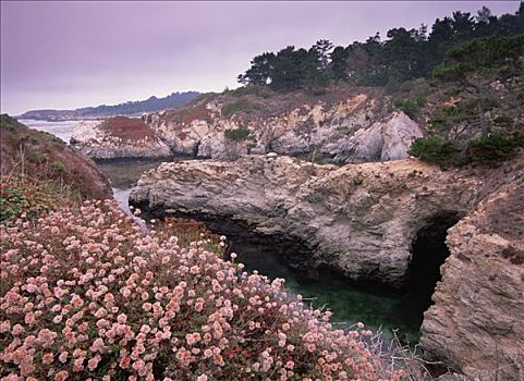 岩石,海岸线,罗伯士角州立保护区,加利福尼亚