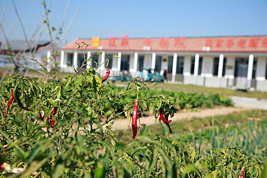 山东省日照市,爱心食堂进乡村,老人吃上暖心餐