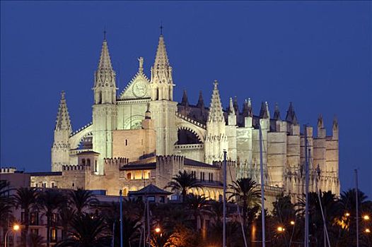 光亮,大教堂,夜晚,马略卡岛,西班牙
