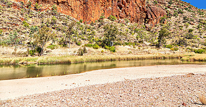 澳大利亚,国王峡谷,河,靠近,山,自然