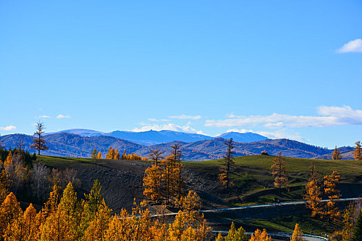 西北第一村白哈巴村秋日盛景