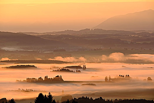 日出,雾,上方,风景,靠近,上巴伐利亚,巴伐利亚,德国,欧洲