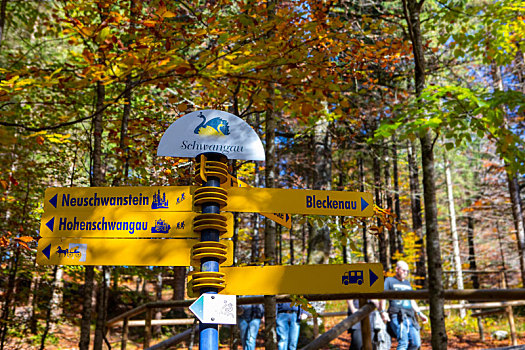 德国新天鹅堡枫树森林步道的路标