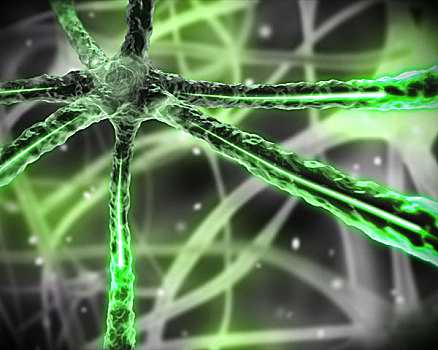 黑色背景,绿色,显微,神经系统