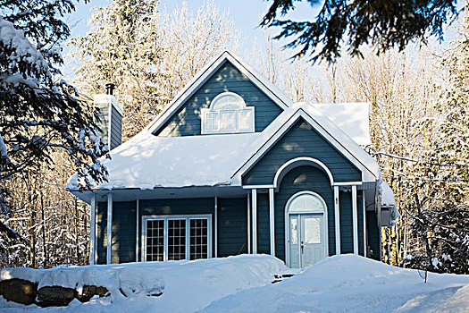房子,积雪,冬天,魁北克,加拿大